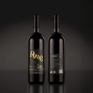 Progetto senza titolo - 1