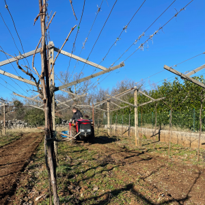 Progetto senza titolo - 10