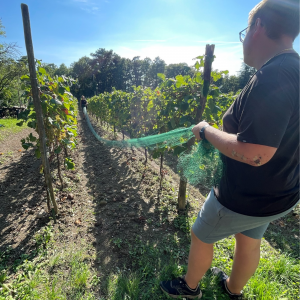 Progetto senza titolo - 12