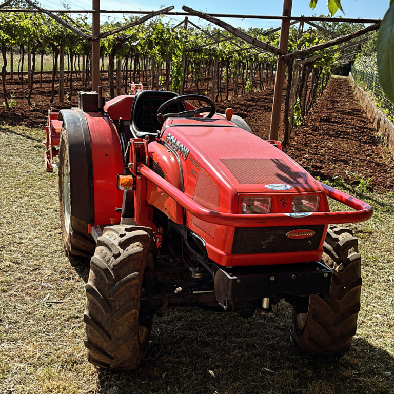 Progetto senza titolo - 5