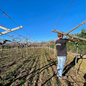 Progetto senza titolo - 7