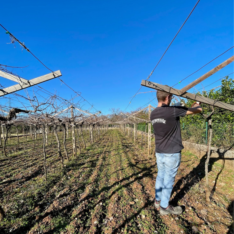 Progetto senza titolo - 7