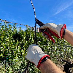 Progetto senza titolo - 8