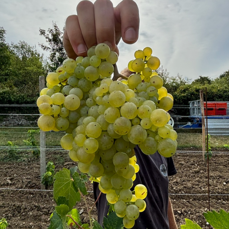 Progetto senza titolo - 9